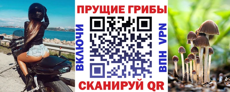 Псилоцибиновые грибы мицелий  наркотики  Усть-Катав 